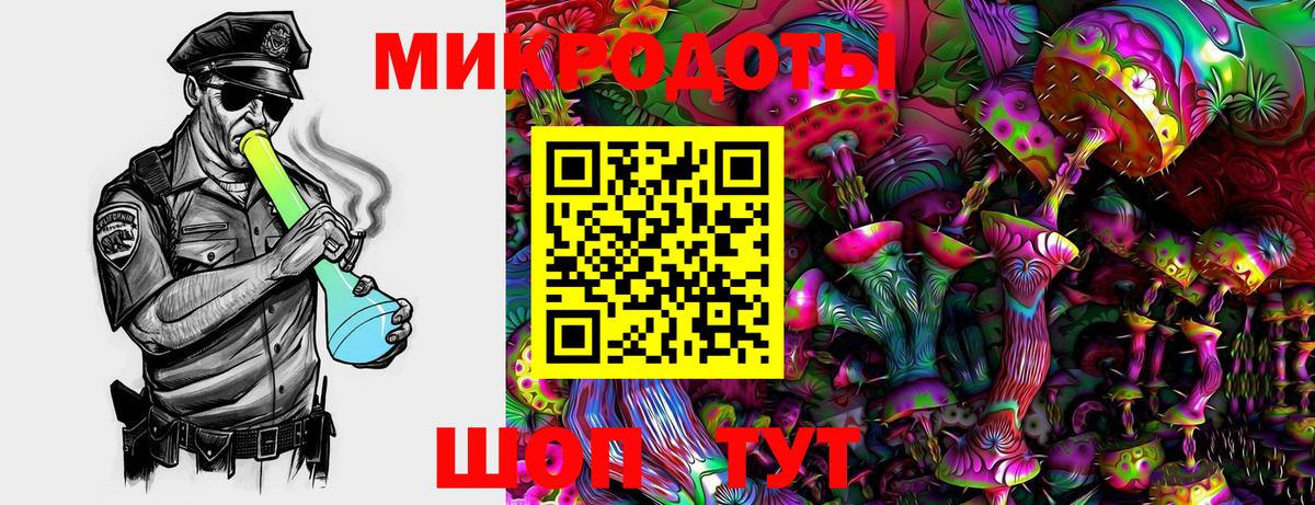 Вятские Поляны  Псилоцибиновые грибы Psilocybe  Вход с VPN 